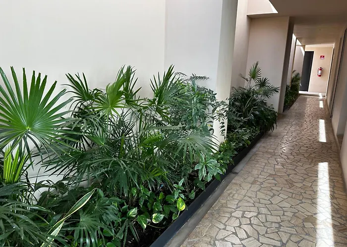 Apartamento Paseo Luxury House